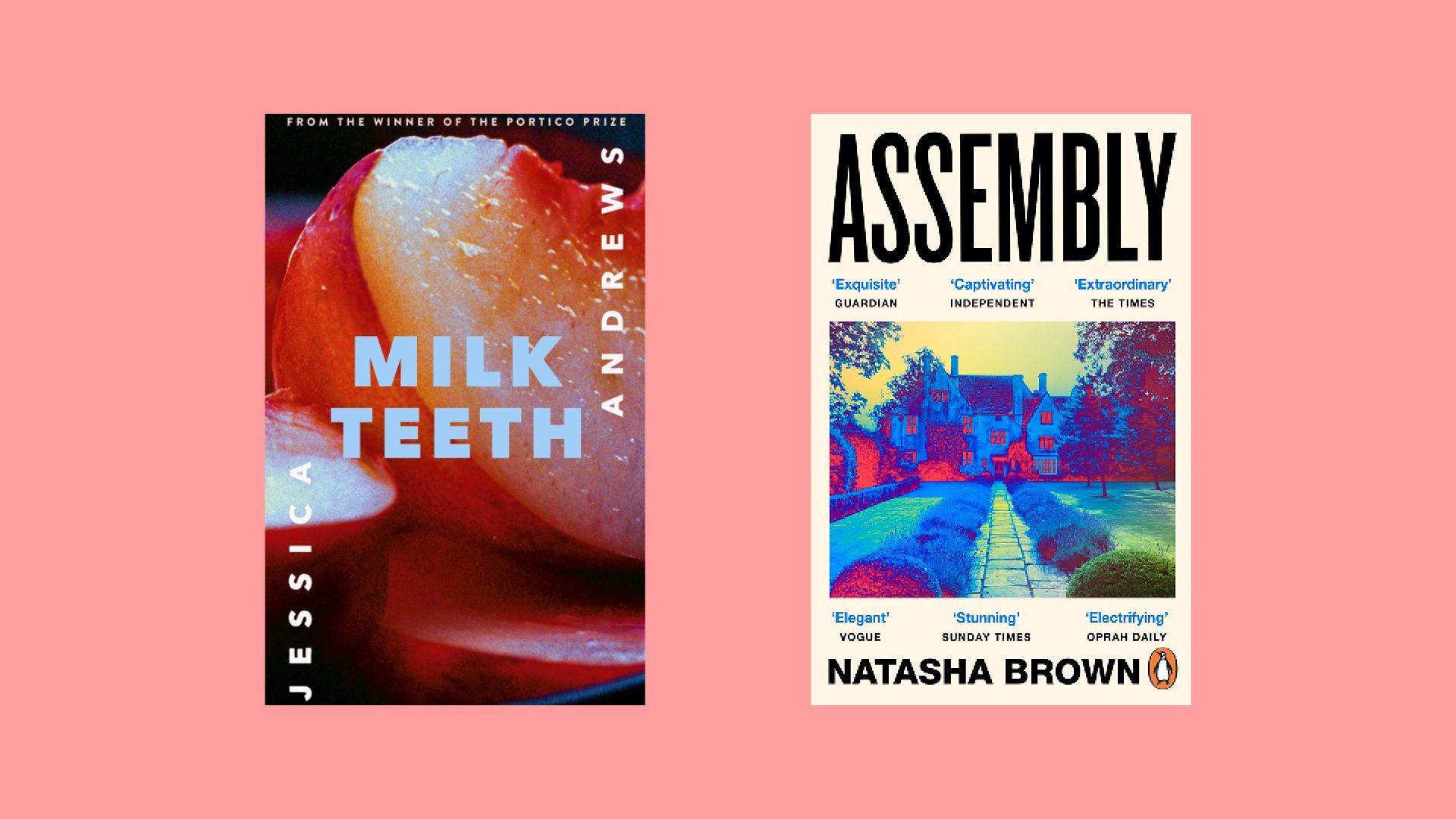 New Fiction: Jessica Andrews and Natasha Brown